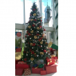 Tannenbaum ca. 500x250cm, schwer entflammbar nach DIN 4102 B1