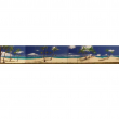 Bühnen Wandhintergrund Palmen-Meer ca. 20x3m