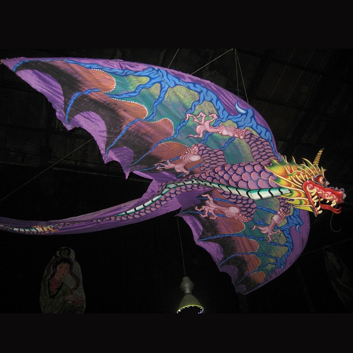 XXL Drachen ca. 5m x 15m