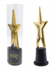 Stern VIP Award