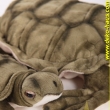 Stofftier Schildkröte, in 3 Größen, grün