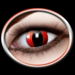 Kontaktlinsen mit Motiv, Model "Red Cat" 594