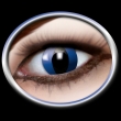Kontaktlinsen mit Motiv, Model "Blue Cat" 600