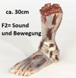 Abgetrennter Fuß, ca. 30cm, F2= Sound und Bewegung