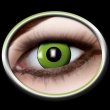 Kontaktlinsen "Green Eye"