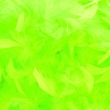 Federboa 200 cm, neonfarben, grün