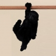 Gorilla F2= mit Sound und Bewegung, schwarz