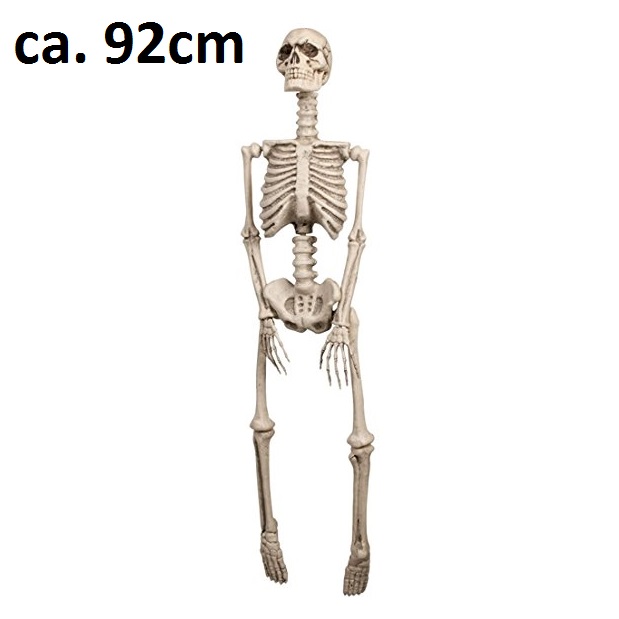 Skelett ca. 92cm beweglich, aus Kunststoff