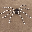 Spinne ca. 150cm, schwarz/weiß