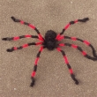 Spinne ca. 150cm, schwarz/rot