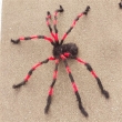 Spinne ca. 150cm, schwarz/rot