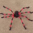 Spinne ca. 150cm, schwarz/rot