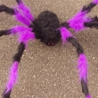 Spinne ca. 150cm, schwarz/lila