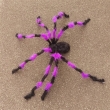 Spinne ca. 150cm, schwarz/lila