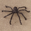 Spinne ca. 90cm, schwarz