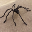 Spinne ca. 150cm, schwarz