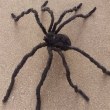 Spinne ca. 150cm, schwarz
