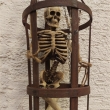 Skelett im Käfig, ca. 70cm