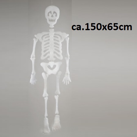 Hängendes Skelett ca. 150x65cm