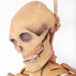Skelett aus Gummi ca. 140cm