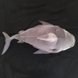 Haifisch, grau, ca. 90cm