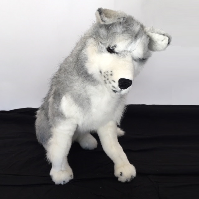 Husky, grau/weiß, ca. 60cm,